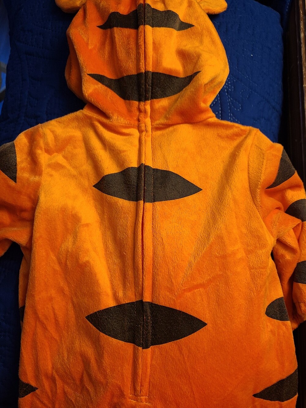 Toys R Us Disney Tigger Plush Baby Costume 9-12M Winnie the Pooh Halloween - Picture 5 of 8